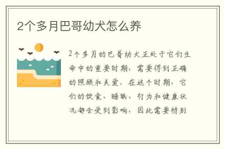 2个多月巴哥幼犬怎么养(2个多月巴哥幼犬怎么养好)